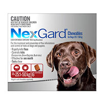Nexgard x Large Dogs 25 - 50 Kg 55 to 110lbs 6 Pack