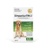 Simparica Trio Chews Large 6pk 20-40kg / 44-88lbs